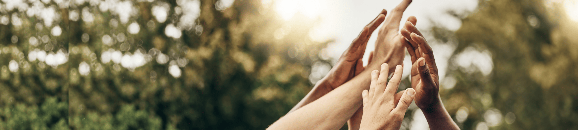 hands raised together in an outdoor setting symbolizing togetherness