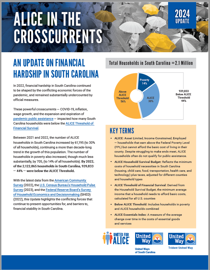 ALICE in the Crosscurrents Report