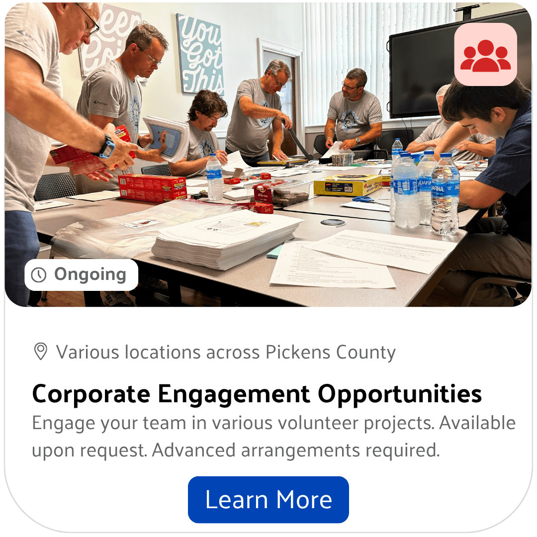 Corporate engagement volunteer opportunity